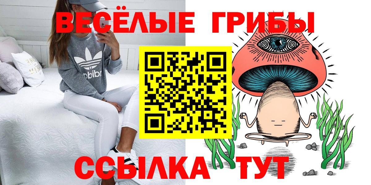 Галлюциногенные грибы мицелий  Вход с VPN  Подольск 
