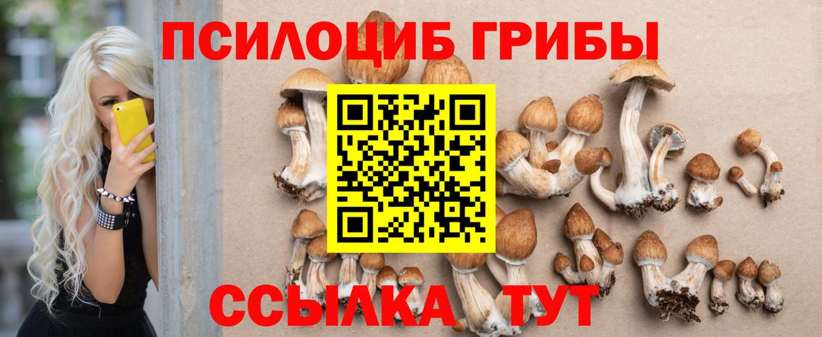Псилоцибиновые грибы прущие грибы Подольск